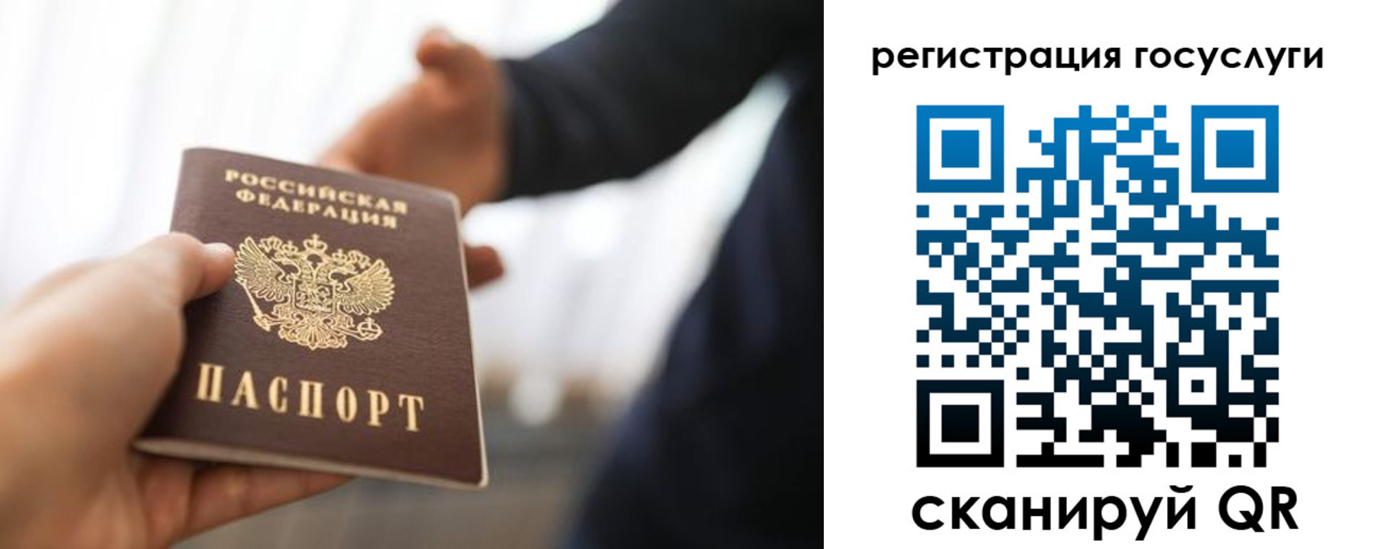 временная регистрация поиск в Видном